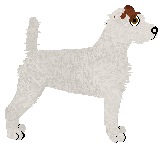 Daisybrook's Born to Burrow — “Barnaby”