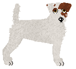 Profile image of Daisybrook's Born to Burrow