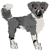Sz/Poppyhill's Games in The Haunted Mansion — “Bonez”