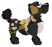 Profile image of Funfetti's 90% Cocoa