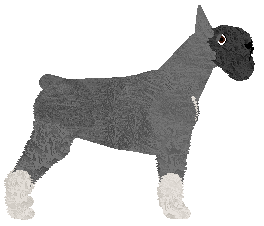 Bearded Force Trofeum — “Khujo”