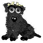 Profile image of EC/Alohomora's We Belong Together