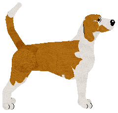 Dystoria's Pack Rules — “Aster”