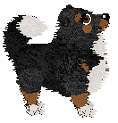 Moonvale's Racing is a Great Mania — “Enzo”