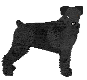 Profile image of Cargo's Life of Hardship