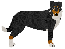 Profile image of Rosestone's All Star Game