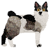 Profile image of Hypnosis Just Go With It