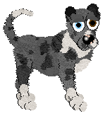 Profile image of Wish NIEPOWSTRZYMANY
