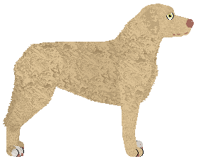 Profile image of Fletching Second Wind