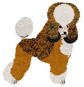 Profile image of Filigree's Givon on Paper