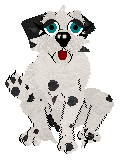 Winter's Spotted Gymnast — “Spotz”