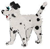 Winter's Spotted Gymnast — “Spotz”
