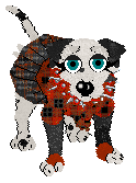Winter's Spotted Gymnast — “Spotz”