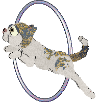 Funfetti/Calluna's Michaelmas Daisy — “Aster”
