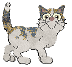 Profile image of Funfetti/Calluna's Michaelmas Daisy