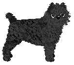 Profile image of Dragosani PAN PIKUŚ