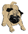 Profile image of Cargo's Just A Smidge