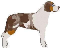 Conformation Champion: Cinquefoil Fire on the Bayou