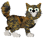 Profile image of EC's Kansas City at Wild Road