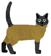 Mirror Blue's Cortina Squirrel — “Lino”