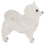 Wolf Hollow's Little Leader — “Rayza”