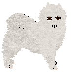 Profile image of Wolf Hollow's Little Leader
