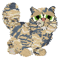 Cymophane's Cat Named Sue — “Sue”