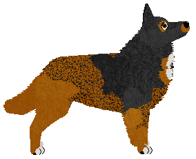 Blizzard PAIATAN — “Leo”