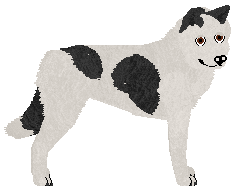 Profile image of Dragosani NARKOZA