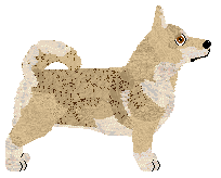 Profile image of Checkmate at VON