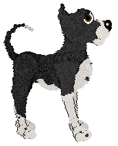 BFK/Aura's King of The Cows — “Kingsley”