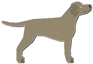 Profile image of Riflery Bite-Sized