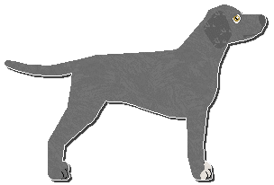 Profile image of Riflery Porchcrawler