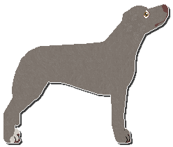 Profile image of Riflery Savoy Corpse Reviver