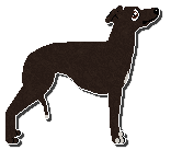 Profile image of Jetstream La Petite Mort