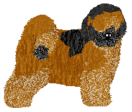Profile image of Dragosani TROUBLEMAKER