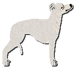 Profile image of Jetstream Incy Wincy