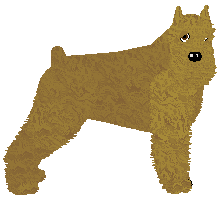 Profile image of Energizing Comfort