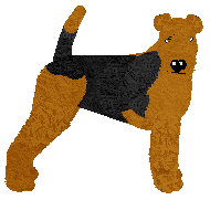 Profile image of Bearded Force Diamond Coat