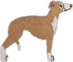 Profile image of Heirloom's Get Going