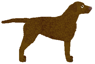 Cansas' Source of Happiness — “Canela”