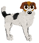Stunt's Soul Dog — “Piper”