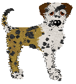 Profile image of Sz's Fior di Latte