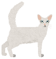 Raposa Winter White — “Jacinth”