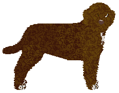 Profile image of Moonvale's Double Jeopardy at Carousel