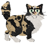 Funfetti's The Meow the Merrier — “Marlowe”