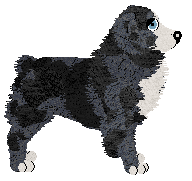 Torleiv Hope of My Procuring — “Marley”