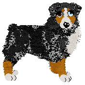 Profile image of Torleiv Ashen Windfall
