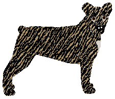 Profile image of Loveshack SOMETHING NEW