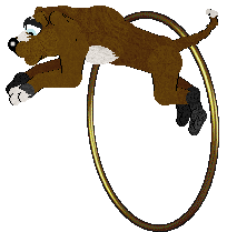 Prehistoric's Catfish Investigators — “Jayda”